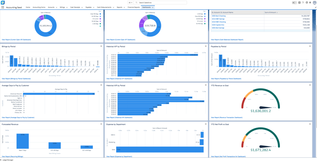 Create Financial Dashboards & Reports | Accounting Seed