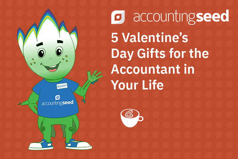 valentines day gifts for the accountant