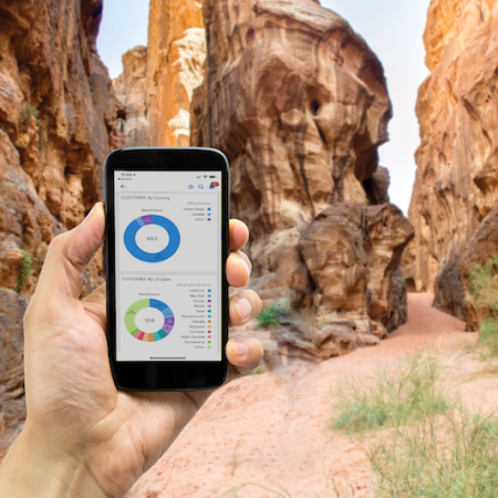 Photo showing a person using Salesforce on their phone in a rocky canyon.